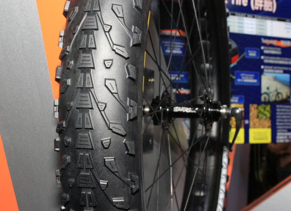 Maxxis Fatbike 29 plus tires (3)