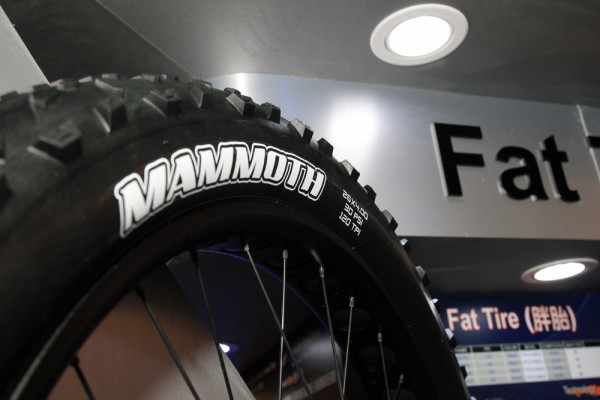 Maxxis Fatbike 29 plus tires (4)