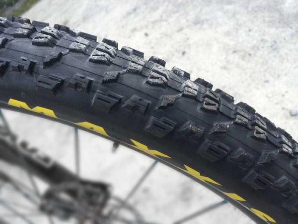 prototype-maxxis-ardent-mountain-bike-tires