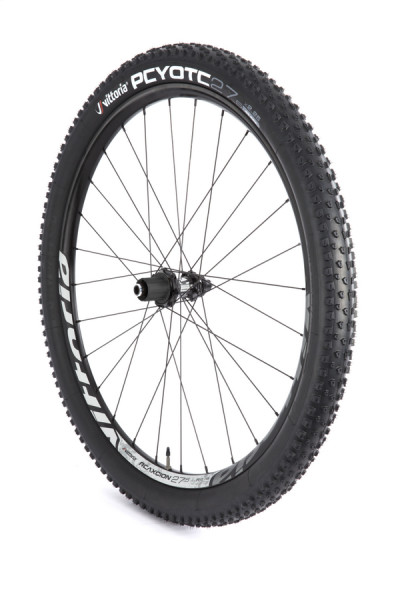 The Vittoria Reaxcion R mountain bike wheel