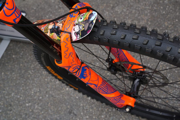 riesel-designs-custom-decaled-mountain-bike02
