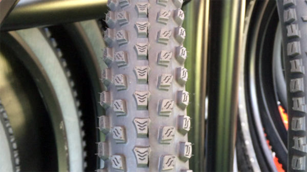 Vittoria Gato all conditions XC race mountain bike tire