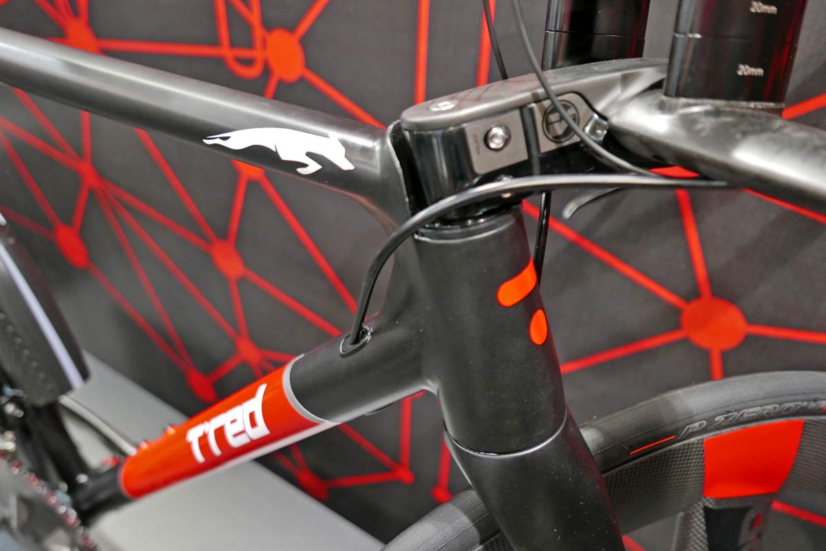 TRed Levriero TT narrow fillet-brazed steel time trial bike front end