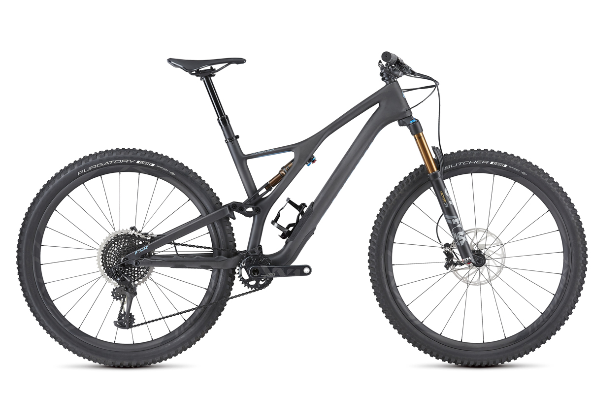 2019 stumpjumper evo 29