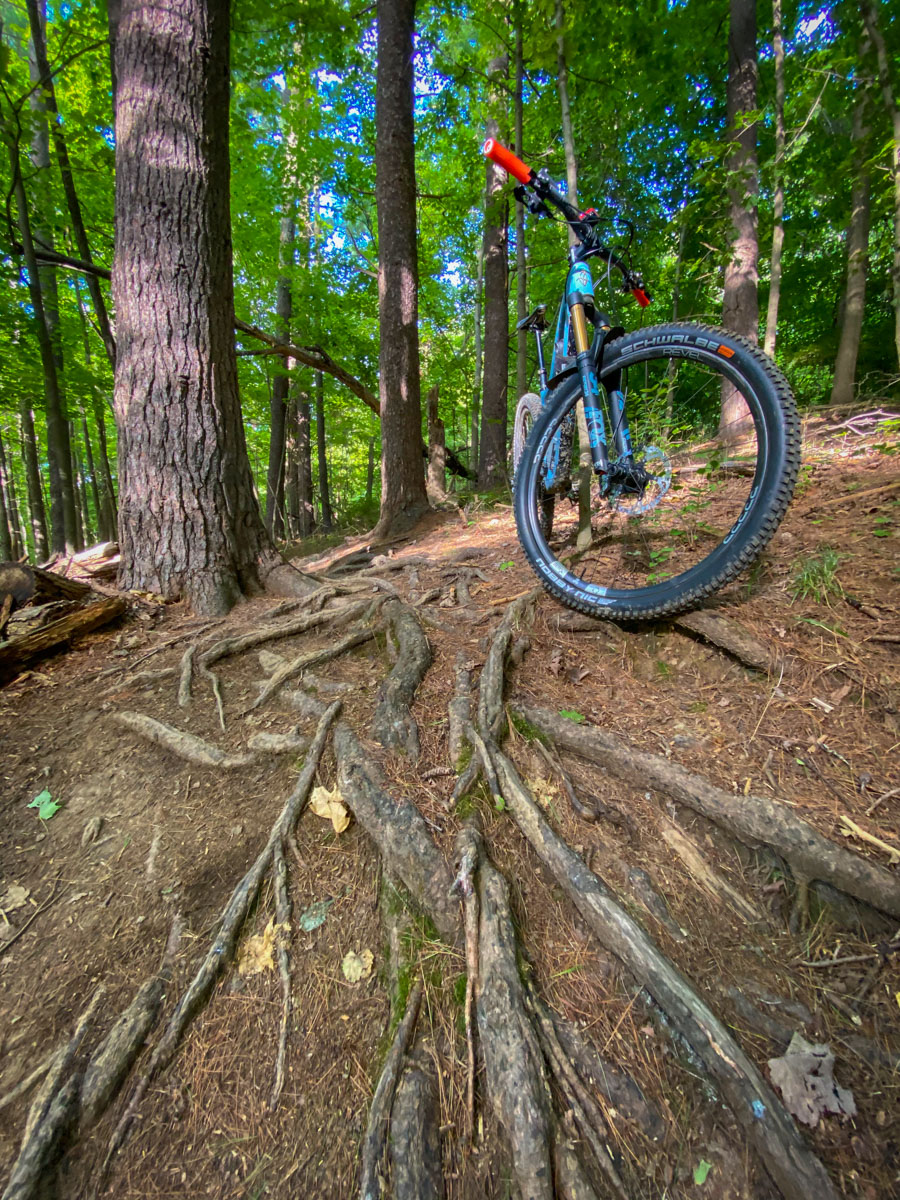 Schwalbe Decade of Super tires on roots