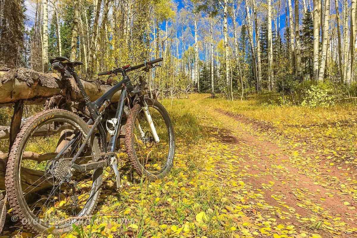 mountain bike with fall leaves and changing colors in durango colorado