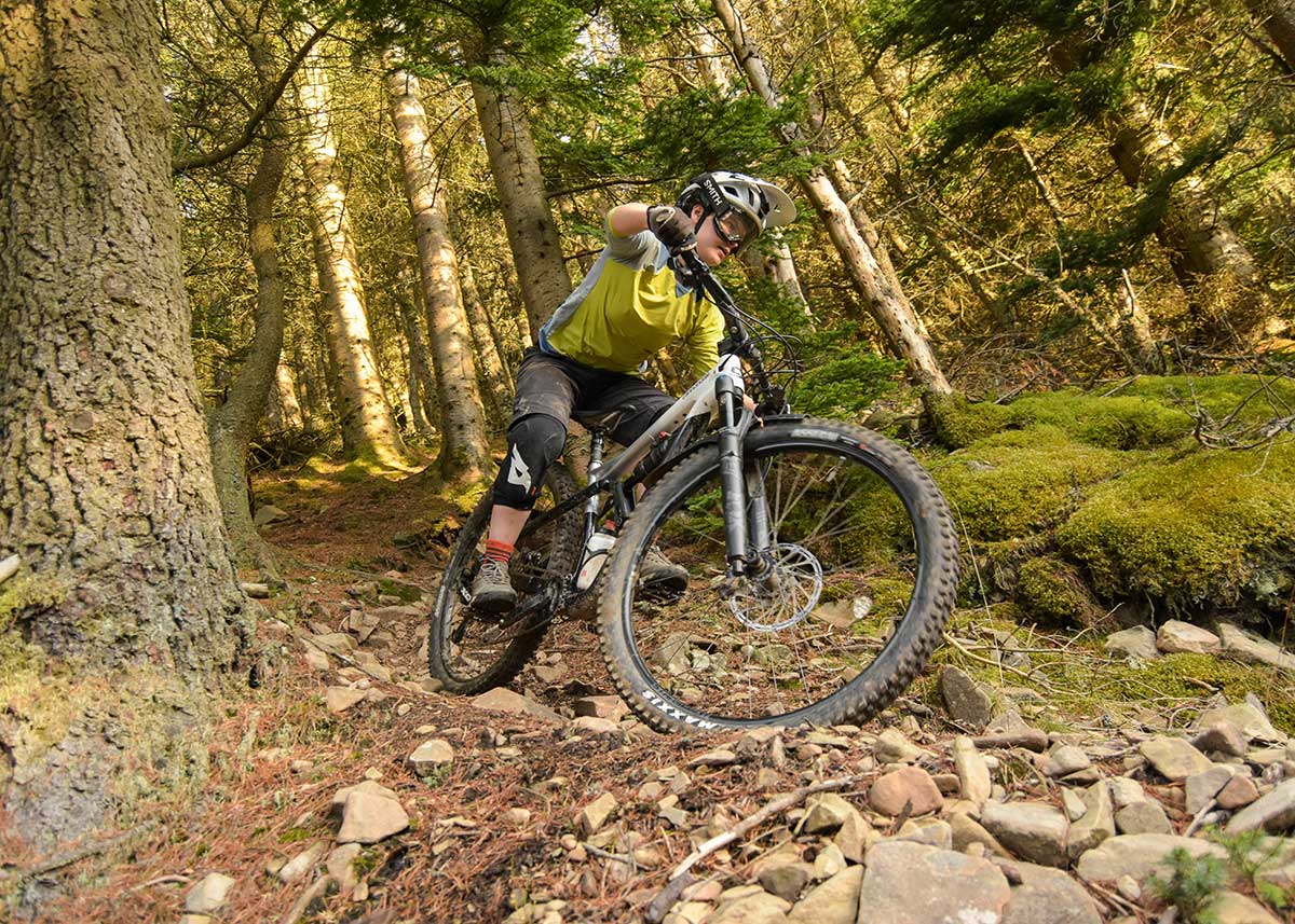 mountain biker riding steep rocky terrain forest backdrop sun through trees