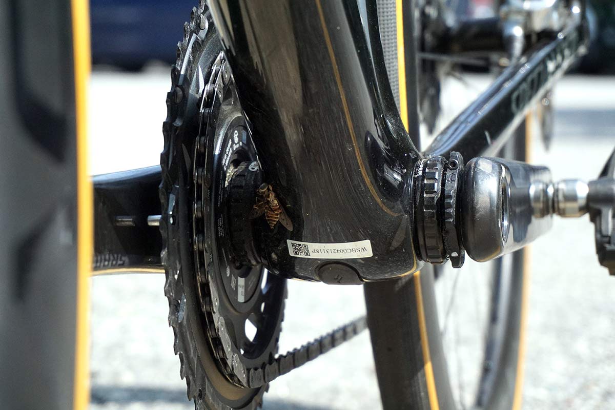 a squashed bug on the downtube of the bike because the new tarmac sl7 road bike is so fast