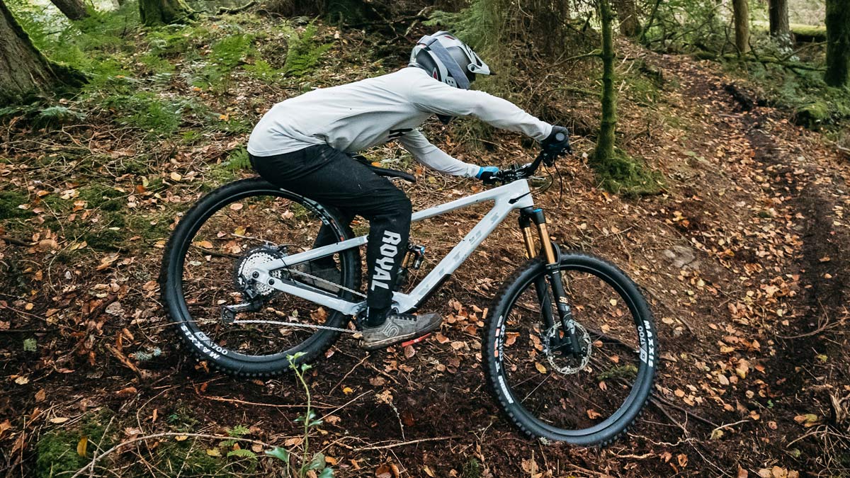 vitus enduro mtb