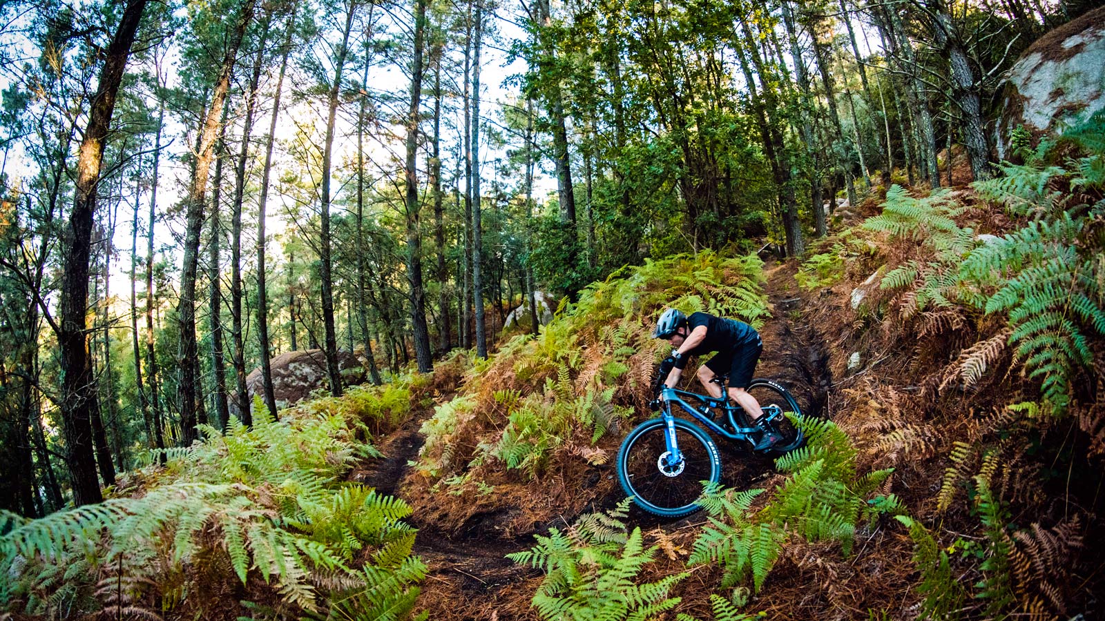 2021 Merida Ninety-Six XC mountain bike, lightweight carbon cross-country race OR light trail mountain bike, riding forest