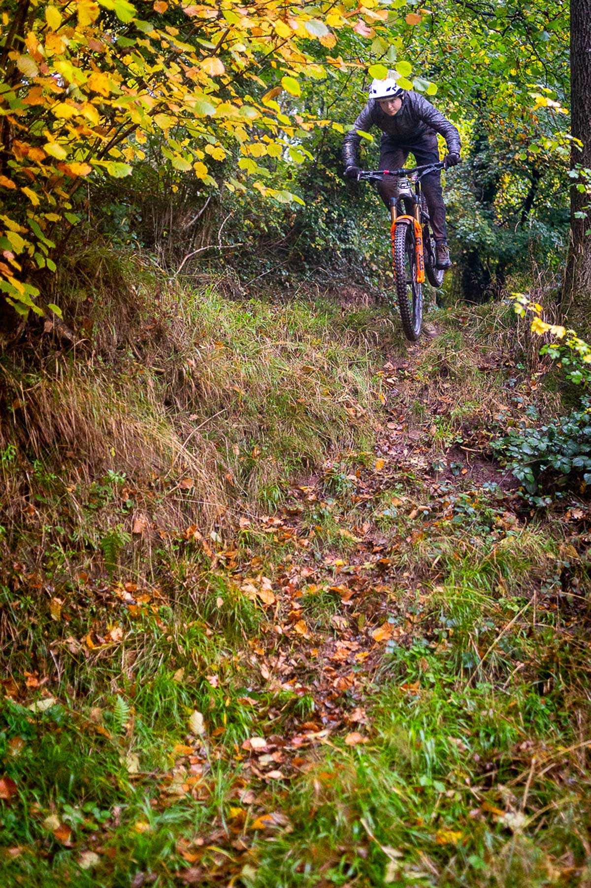 freeride line at black mountains cycle centre photo credit james hudson rider jessie-may morgan testing fox float 38 factory fork