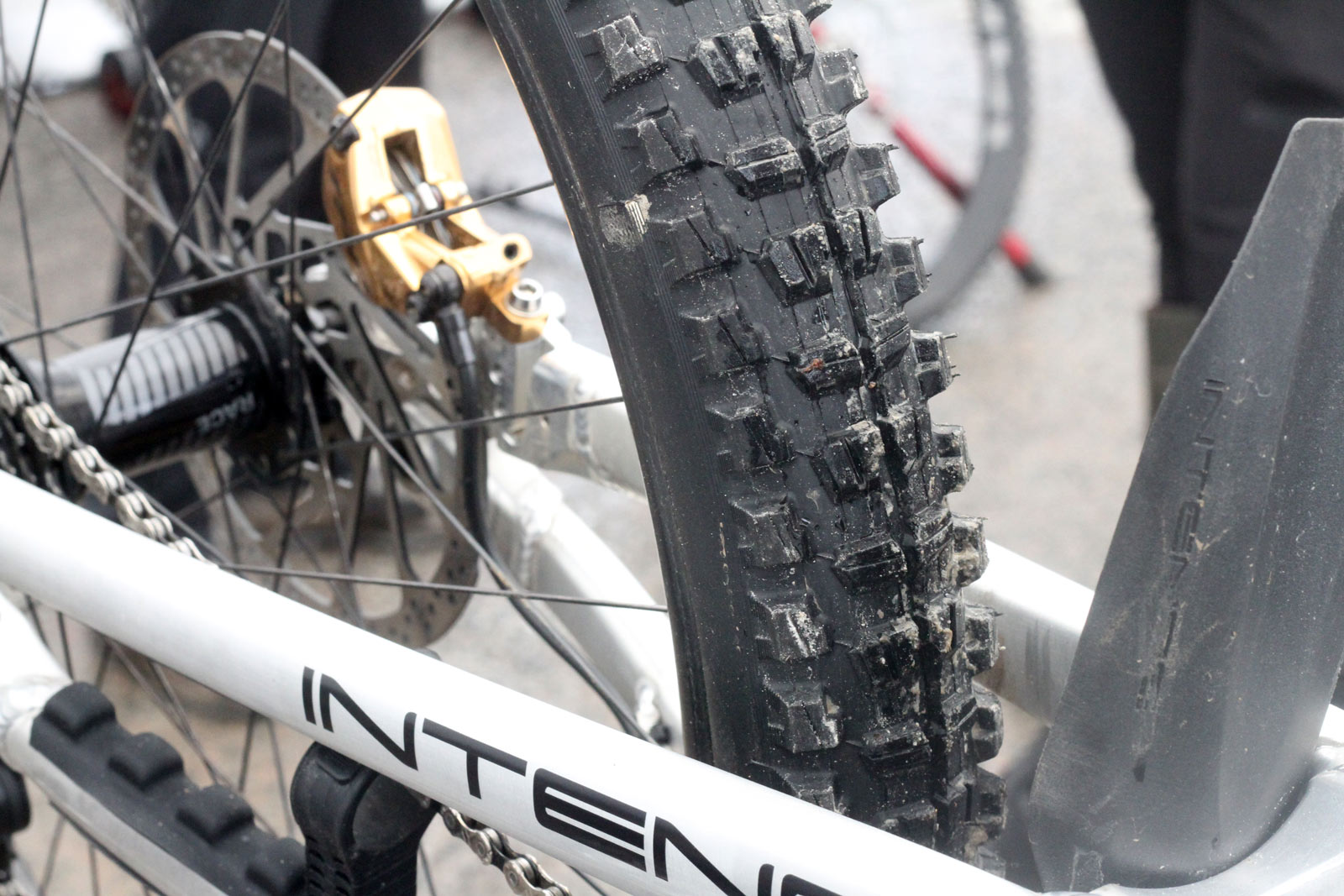 aaron gwin intense dh bike check fort william world cup vee tire co no sharpie tires