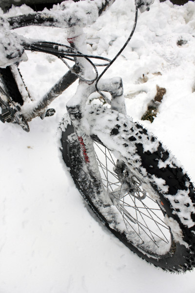 0Long Term Review: White Brothers Snowpack Carbon Fatbike Fork and Paul Components WHUB Front Hub