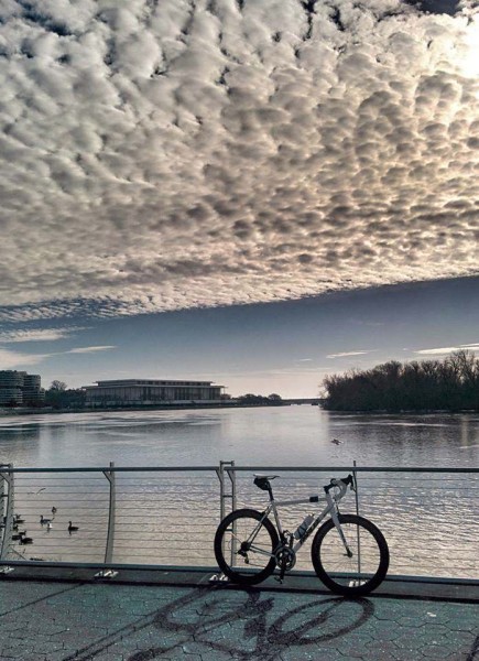 bikerumor pic of the day Hains Point, DC, hangover ride