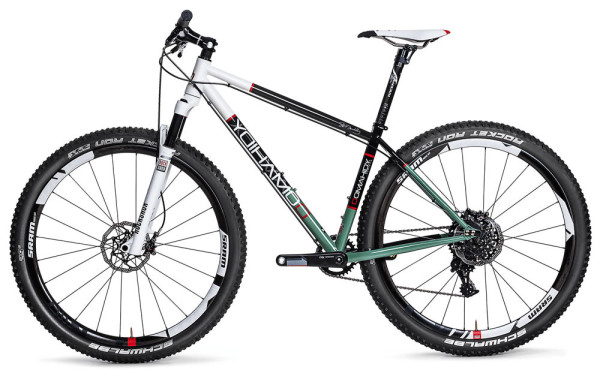 domahidy-designs-reynolds853-steel-29er-mountain-bike2