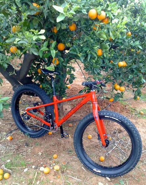 bikerumor pic of the day orange grove on the costa blanca