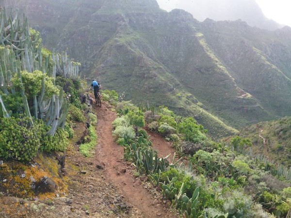 bikerumor pic of the day mountain biking tenerife, the canary islands