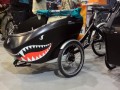 trioBike-Mono-shark-cargo-bike