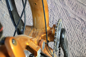 Salsa Buzz Saw full suspension fat bike Whisky prototype carbon rim   (33)