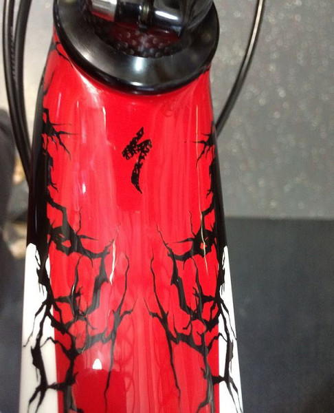 Specialized limited edition Metal Head Tarmac Headtube