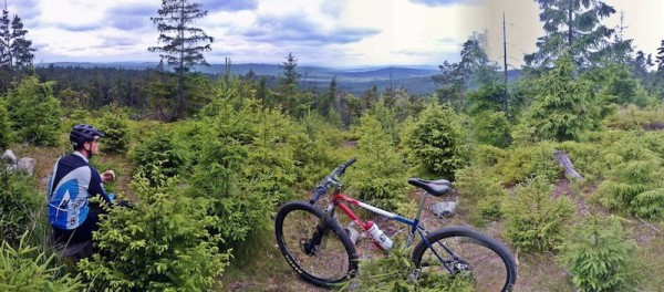 bikerumor pic of the day Czech republic, moss and blueberry trails in Brdy forest with P-29er