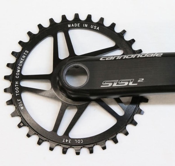 WTC Cannondale hollowgram single speed chainring