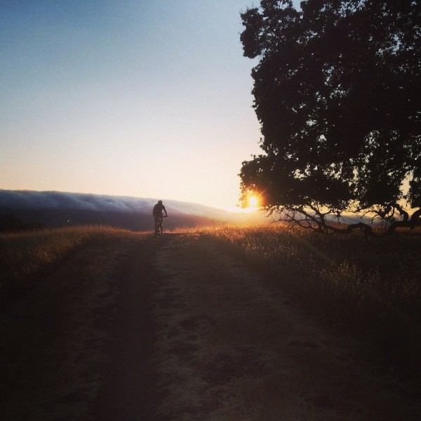 bikerumor pic of the day mountain biking Arastradero Preserve in Palo Alto, CA
