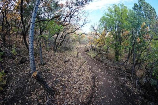 bikerumor pic of the day Chamberlain trail in Colorado Springs