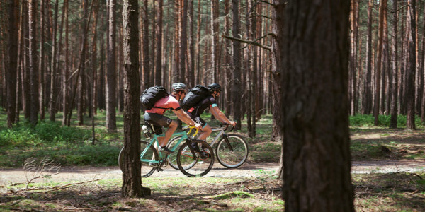 8bar_Adventures_Berlin-Prague-forest_roads