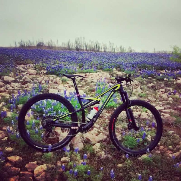 bikerumor pic of the day texas bluebonnet Here is a cool shot from Pacebend State park Austin Texas with my 2014 camber expert carbon evo. 