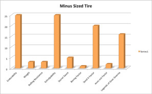 WTB Minus Sized Tires (4)