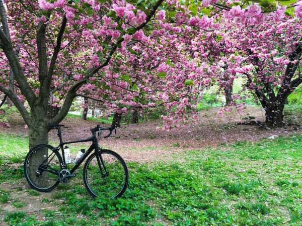 bikerumor pic of the day Morning laps in Central Park before work, New York, NY