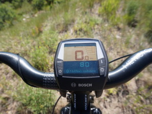 Bosch_NuVinci-hub_e-bike_0004