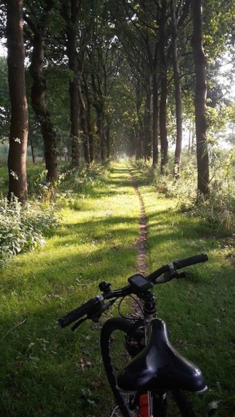 bikerumor pic of the day Back in the saddle after 2 years of hernia trouble.  Made a photo of my training ride in the morning of the 21st of august 2015 through Nature park Lelystad, The Netherlands. 