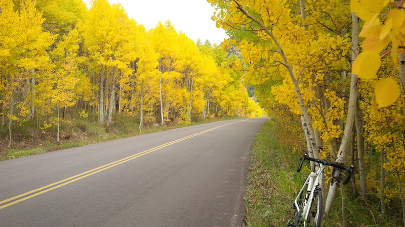 bikerumor pic of the day Fall colors are starting to pop in Aspen, CO! This photo was taken at around 9,500 ft elevation. 