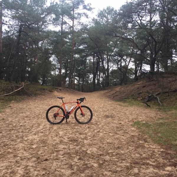 bikerumor pic of the day drench-frisian forrest north of the netherlands