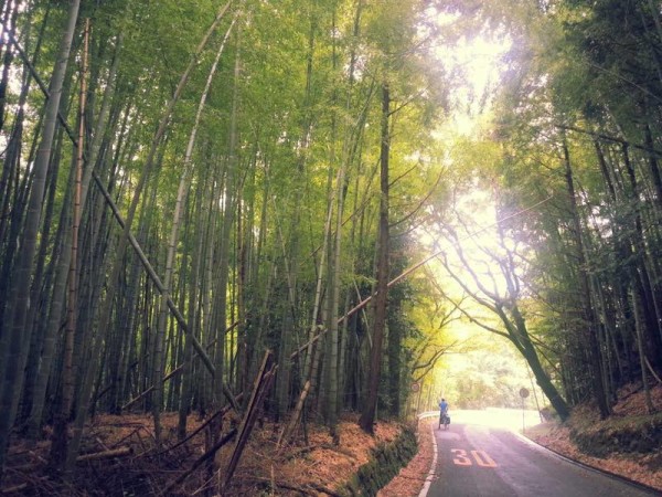 Cycle touring in Japan post typhoon. bikerumor pic of the day
