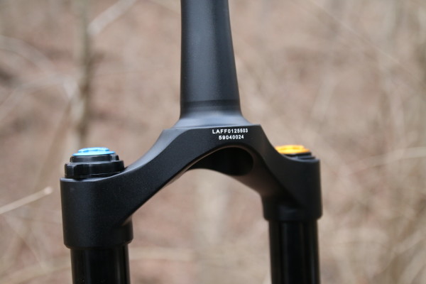 carbon fork integrated crown race