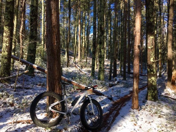 bikerumor pic of the day Nickerson State park in Brewster Massachusetts