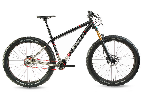 Domahidy_Ti-All-Mountain-Pinion-Hardtail_complete-side