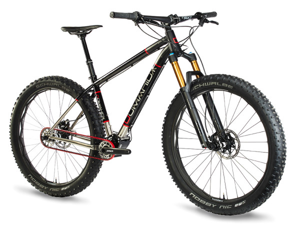 Domahidy_Ti-All-Mountain-Pinion-Hardtail_complete_angled