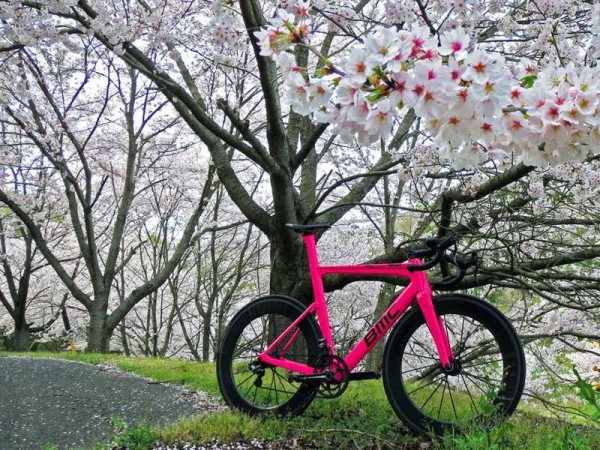 bikerumor pic of the day cherry blossoms osaka japan