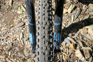 Maxxis summit mulberry gap plus tire high roller II aggressor-13