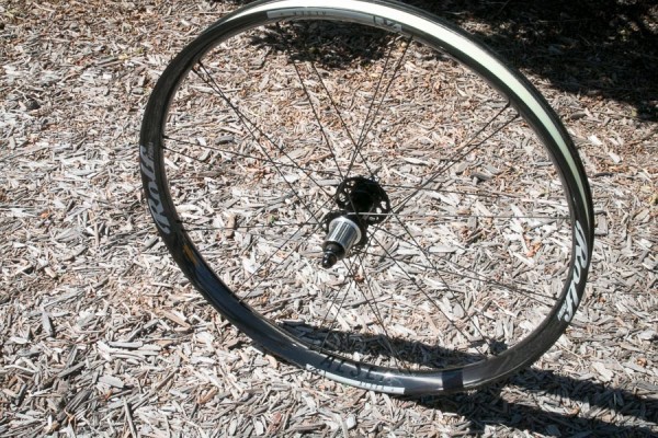 Rolf Alsea plus carbon wheel rim size mountain bikeIMG_3731