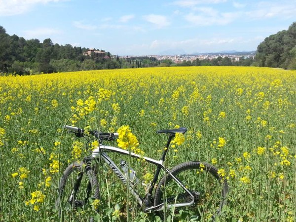 bikerumor pic of the day Sant Cugat del Vallès, spain