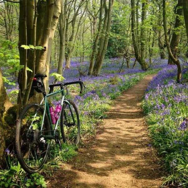 bikerumor pic of the day Then just over the hill, Badby Wood is famous for its bluebells.