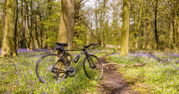 bikerumor pic of the day the bluebells of Marchington Cliff in Staffordshire (UK