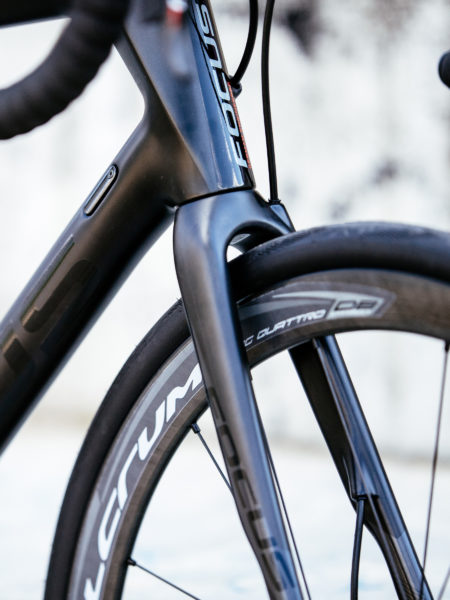 Focus-Paralane_carbon-race-endurance-road-bike_photo-by-Jered+Ashley-Gruber_fork-crown