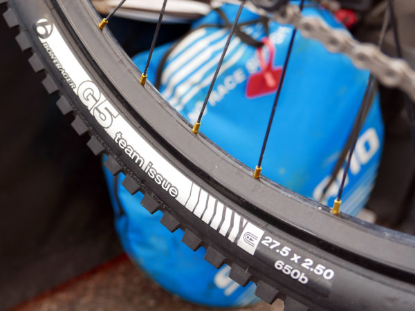 Trek-Session-RSL_Rachel-Atherton-pro-DH-bike_Bontrager-G5-tires