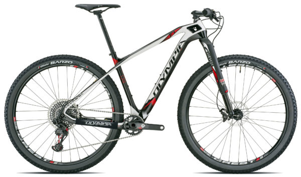 Olympia_F1-Race_carbon-29er-XC-hardtail-mountain-bike_complete